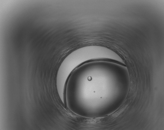 X0000059840096200510281836