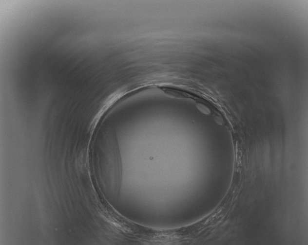 X0000059840099200510281835