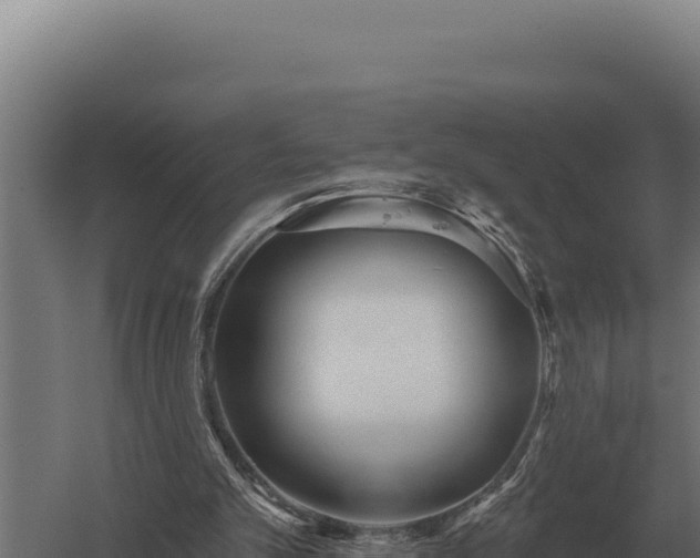 X0000059840101200510281835