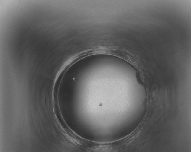 X0000059840102200510281835