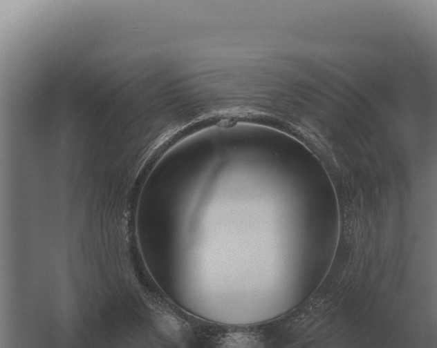 X0000059840111200510281835