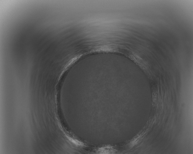 X0000059840112200510281835