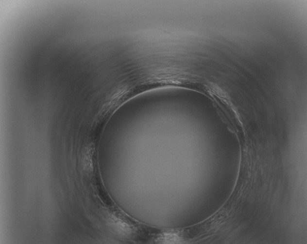 X0000059840114200510281834