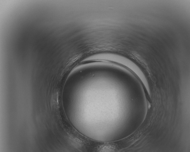 X0000059840115200510281834