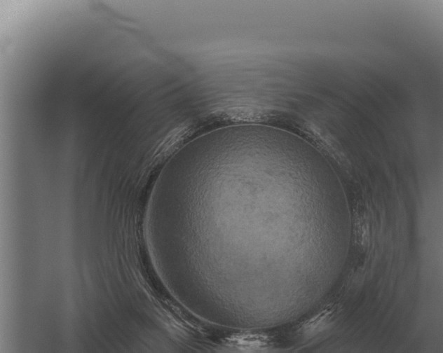 X0000059840117200510281834