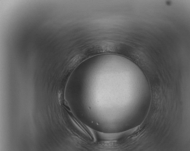 X0000059840123200510281834