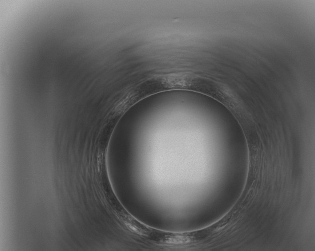 X0000059840125200510281834