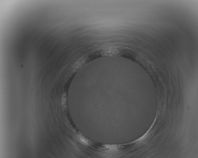 X0000059840144200510281834