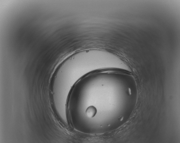 X0000059840146200510281833