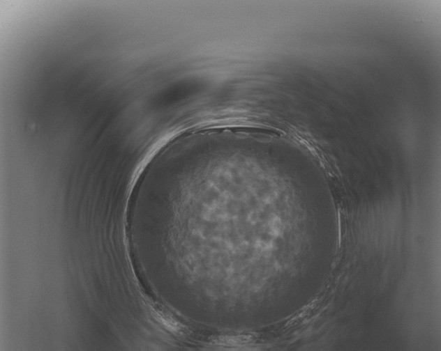 X0000059840147200510281833