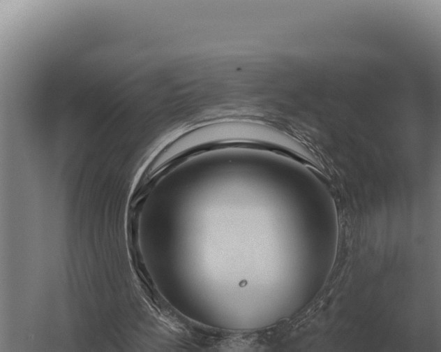 X0000059840148200510281833