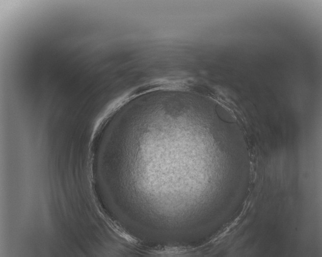 X0000059840149200510281833