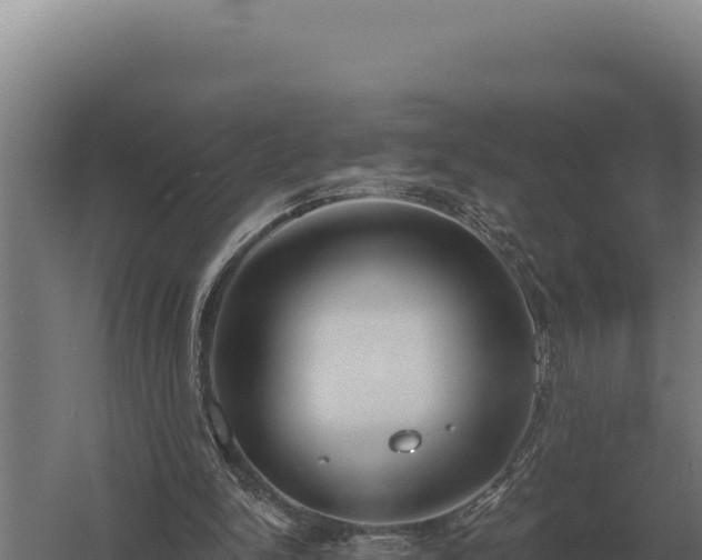 X0000059840150200510281833