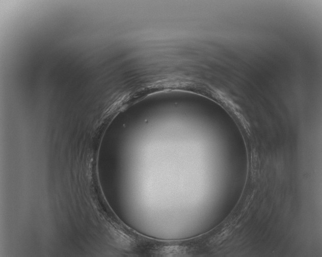 X0000059840153200510281833