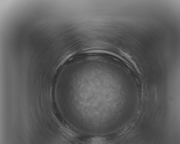 X0000059840154200510281833