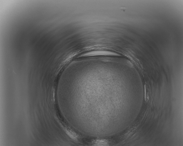 X0000059840157200510281833