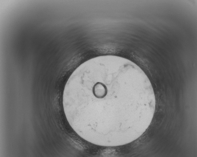 X0000059840162200510281833