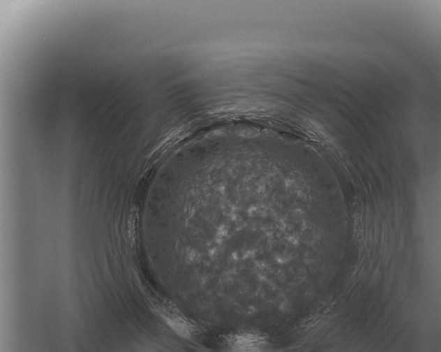 X0000059840165200510281833