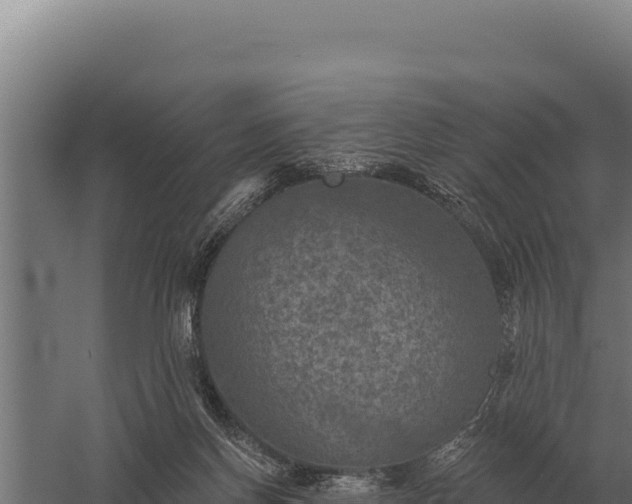 X0000059840166200510281834