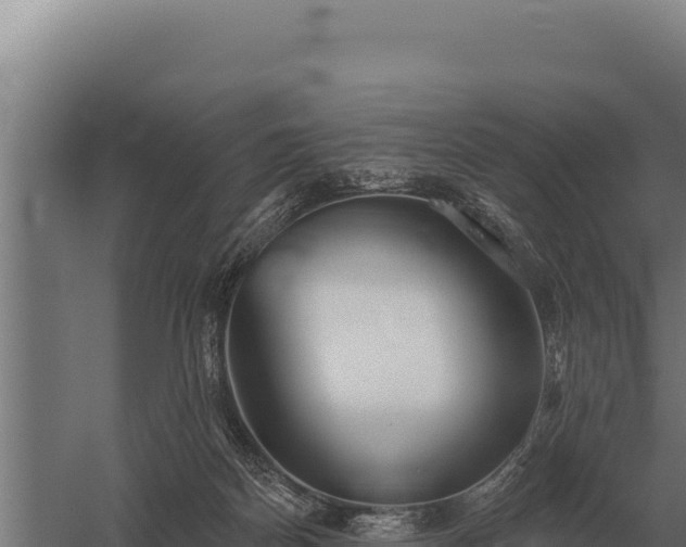 X0000059840170200510281834