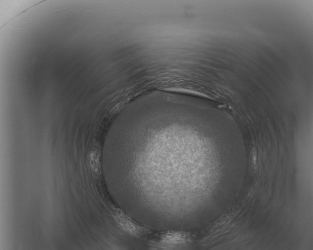 X0000059840177200510281834