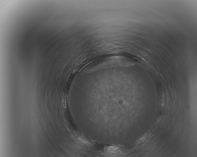 X0000059840180200510281834