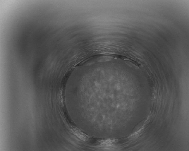 X0000059840182200510281834