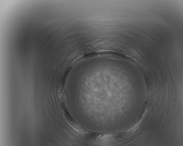 X0000059840186200510281834