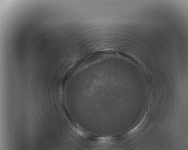 X0000059840192200510281834