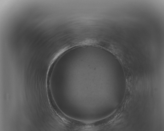 X0000059840196200510281833