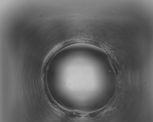 X0000059840197200510281833