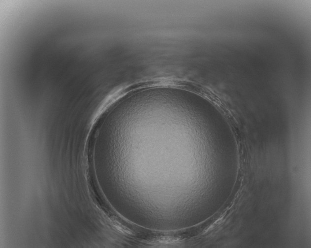 X0000059840198200510281833