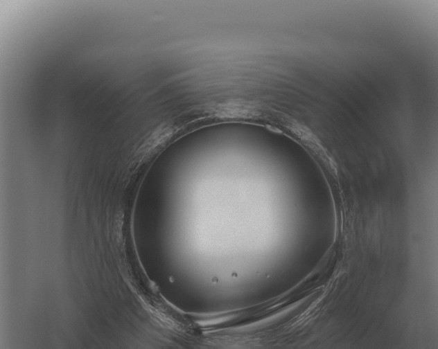 X0000059840201200510281833