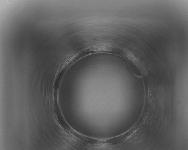 X0000059840202200510281833