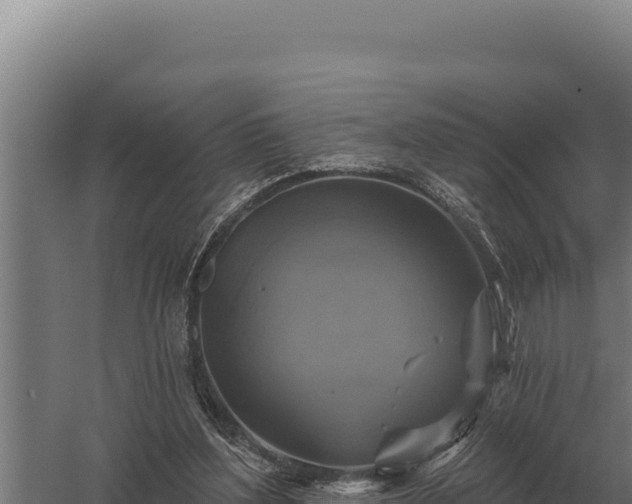 X0000059840204200510281833