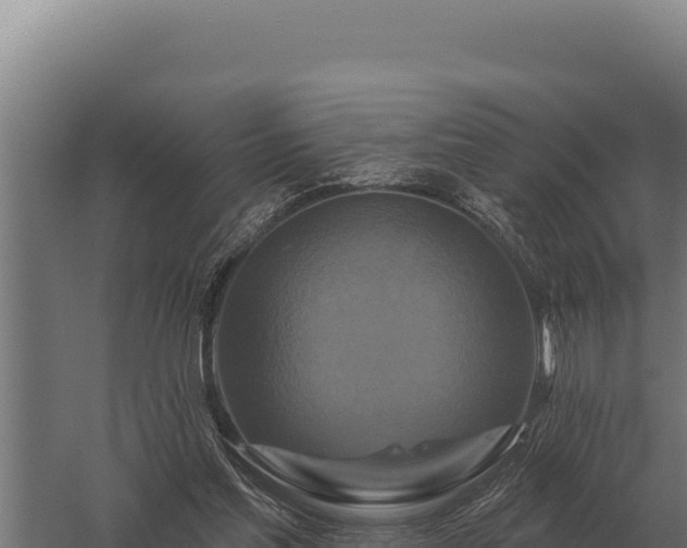 X0000059840205200510281833