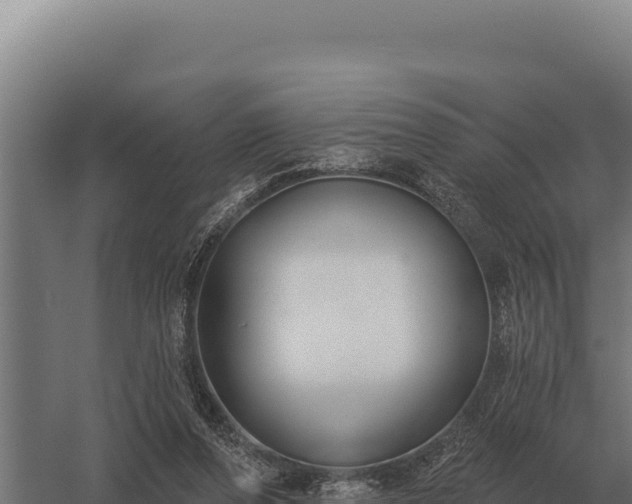 X0000059840208200510281833