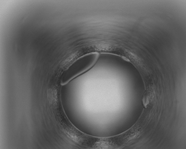 X0000059840211200510281833