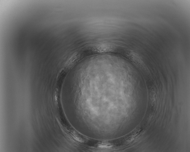 X0000059840214200510281833