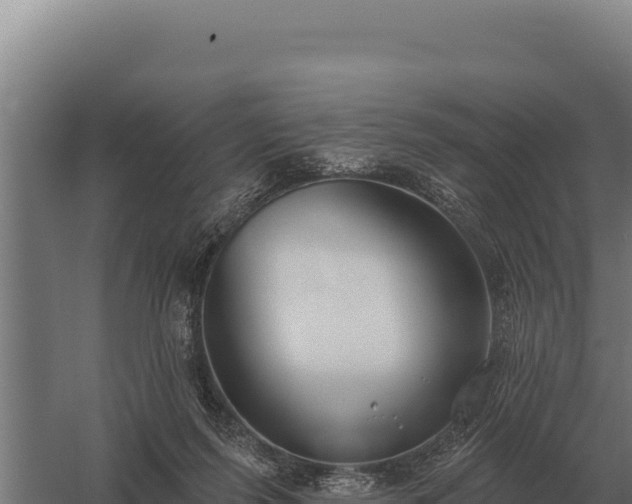 X0000059840215200510281833