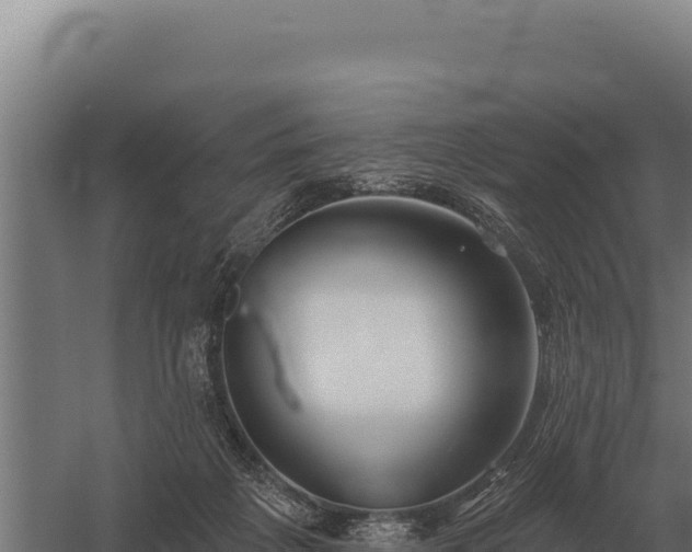 X0000059840217200510281833