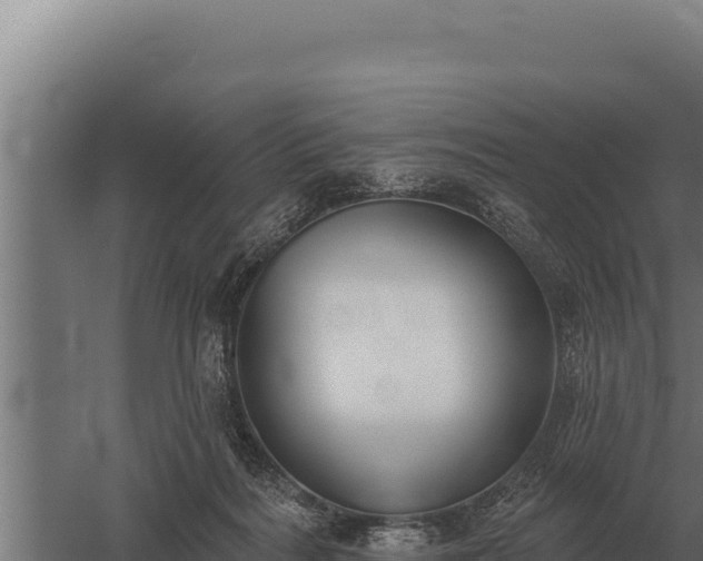 X0000059840220200510281833