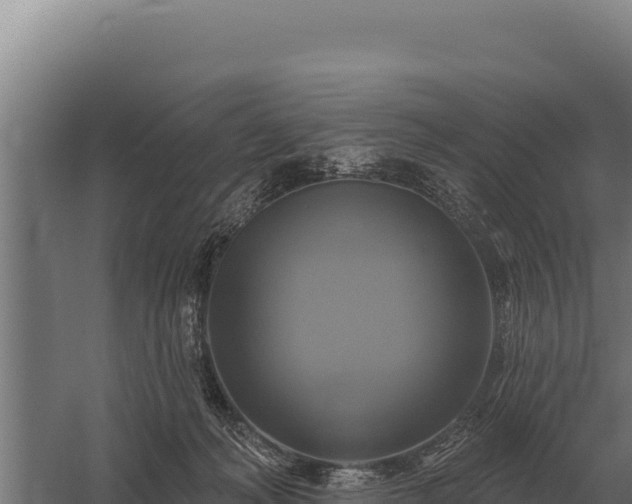 X0000059840222200510281833