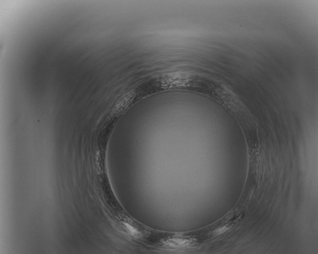 X0000059840224200510281833