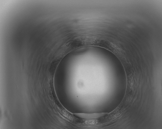 X0000059840225200510281833