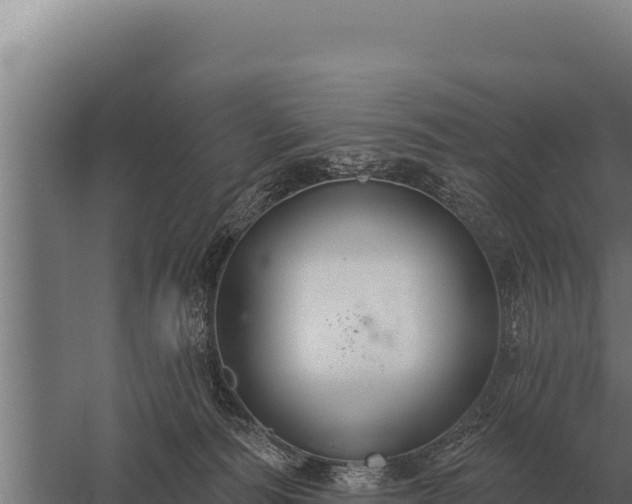 X0000059840226200510281833