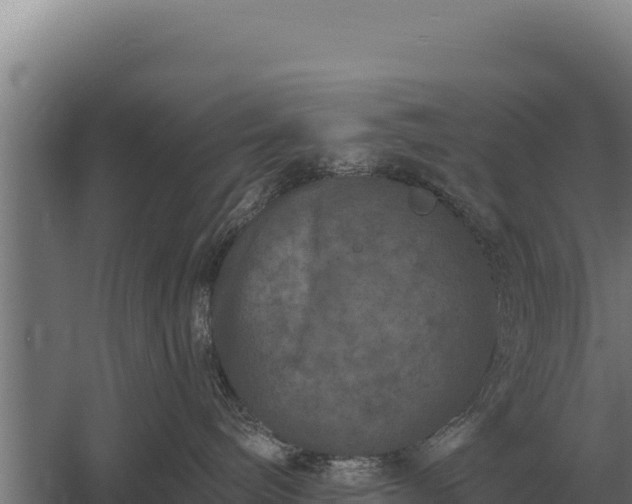 X0000059840240200510281832