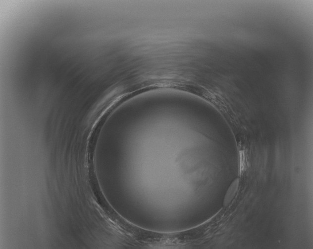 X0000059840243200510281832