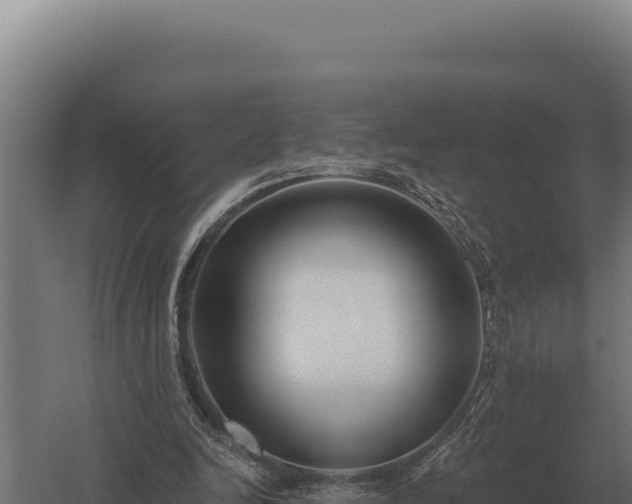 X0000059840246200510281832