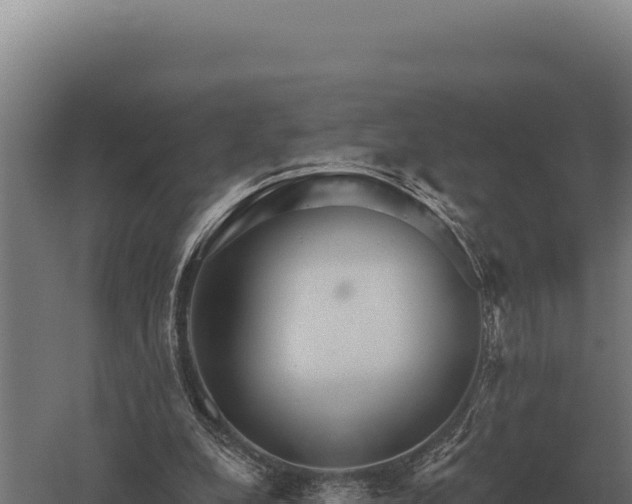 X0000059840248200510281832